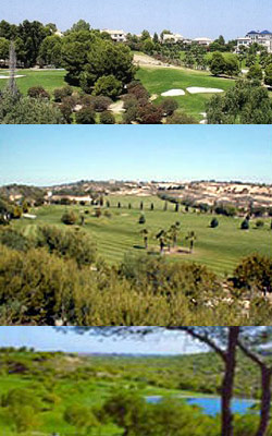 golf courses